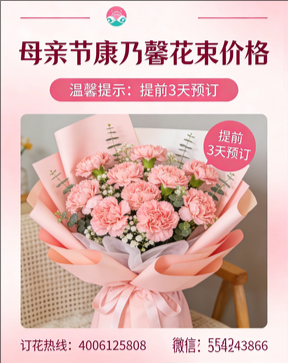 连云港灌南县花店母亲节康乃馨花束