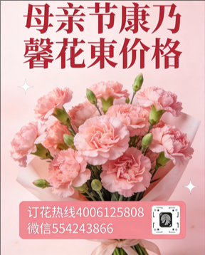 连云港灌南县花店母亲节康乃馨花束